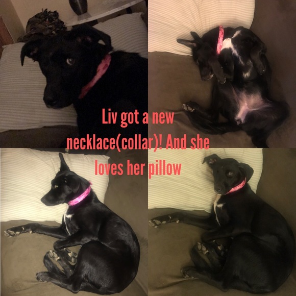 Helping my baby🐾💞 - Picture 5 of 8